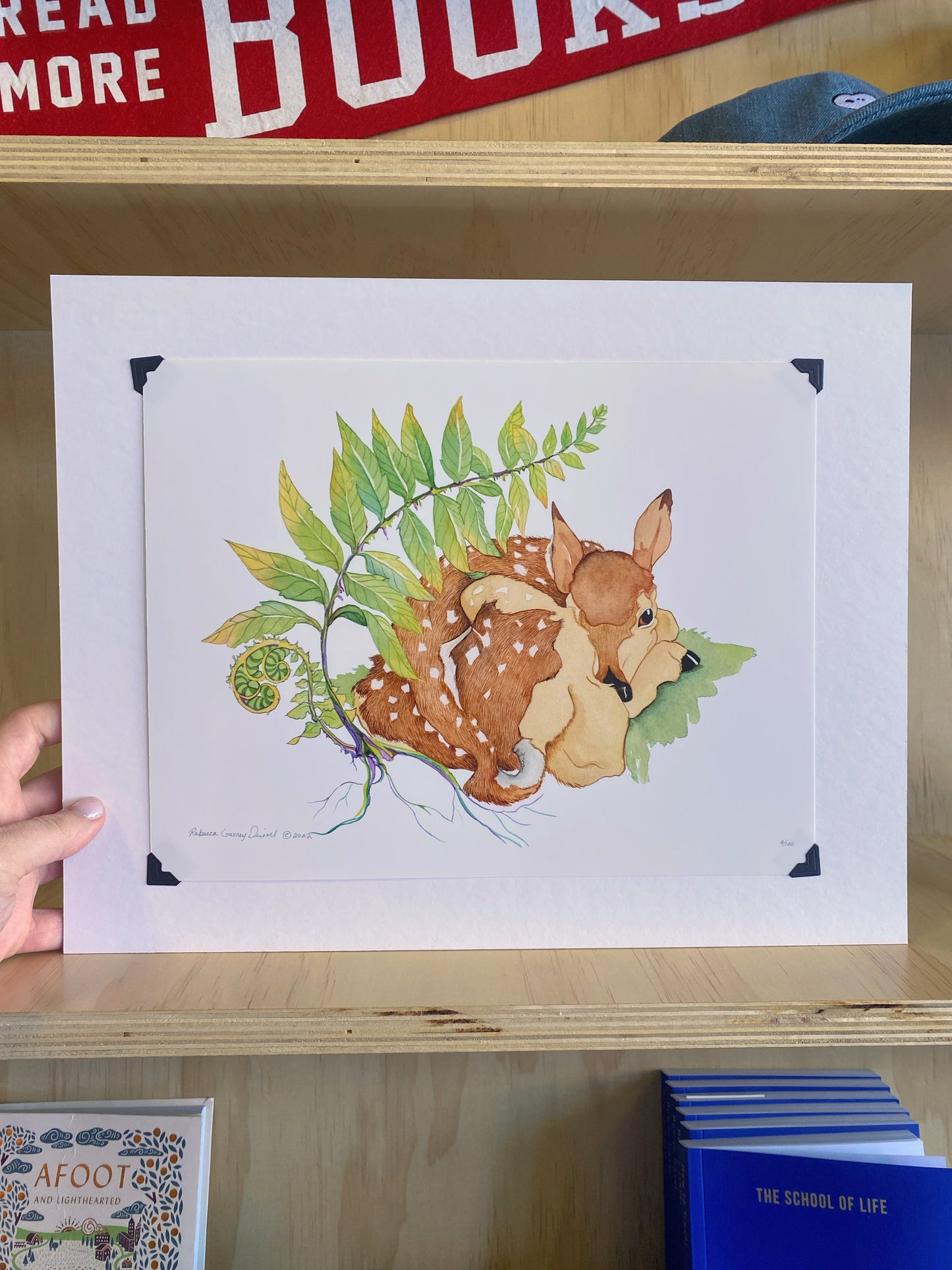 Woodland Fawn Giclee Print by Janesville, WI Artist