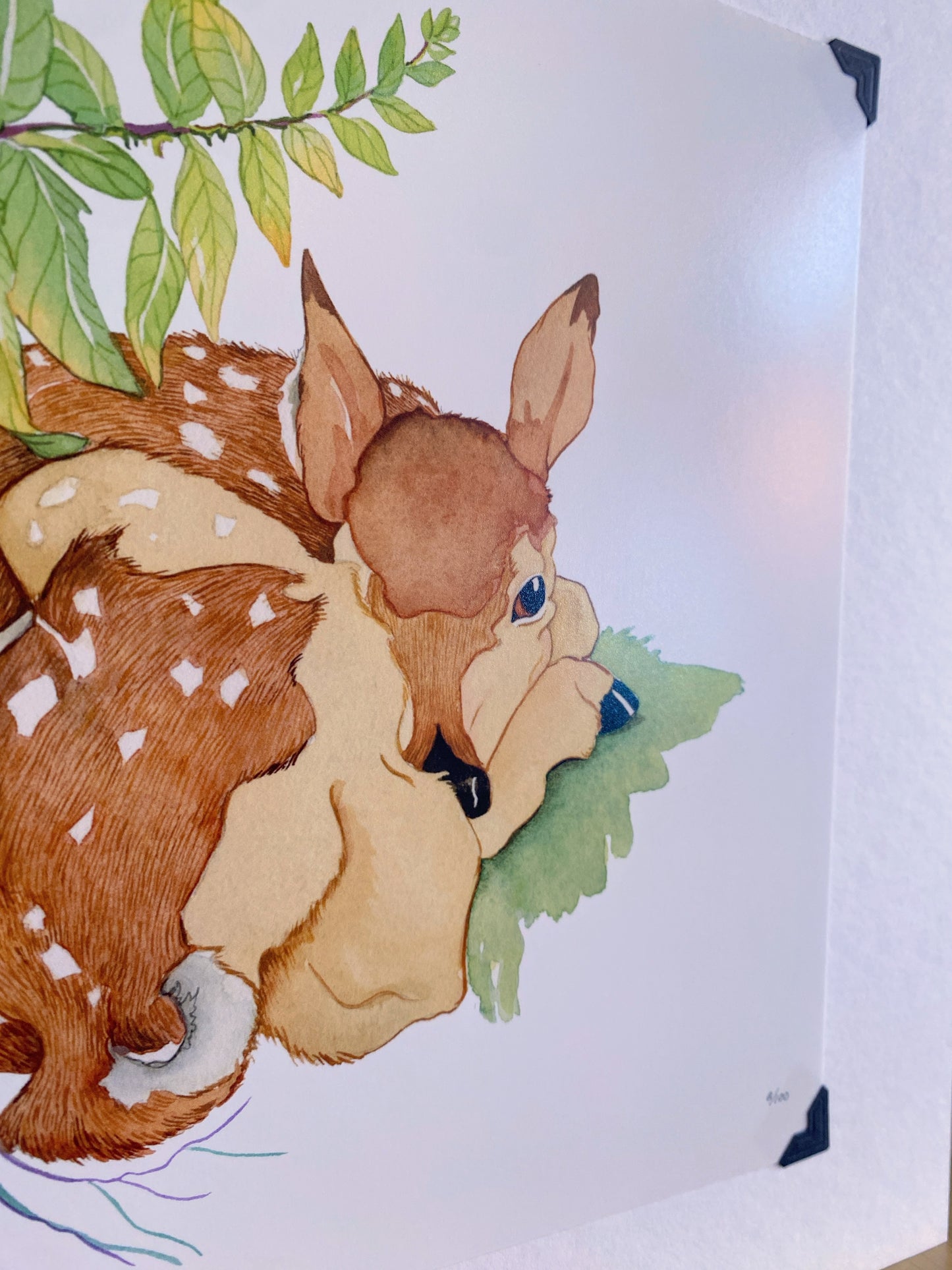 Woodland Fawn Giclee Print by Janesville, WI Artist