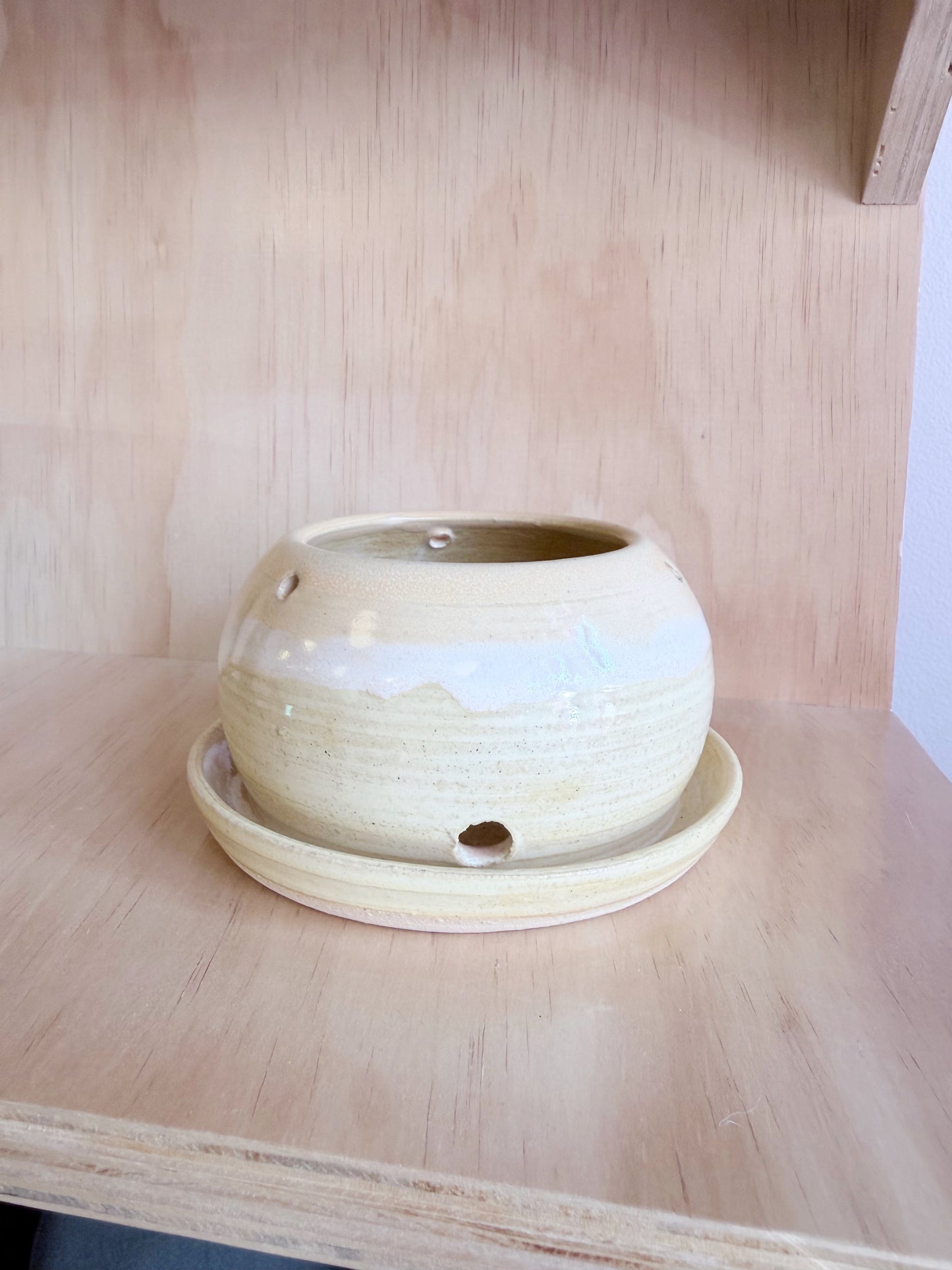 Hand-thrown Buttery Planters by Beth - Made in Stoughton!