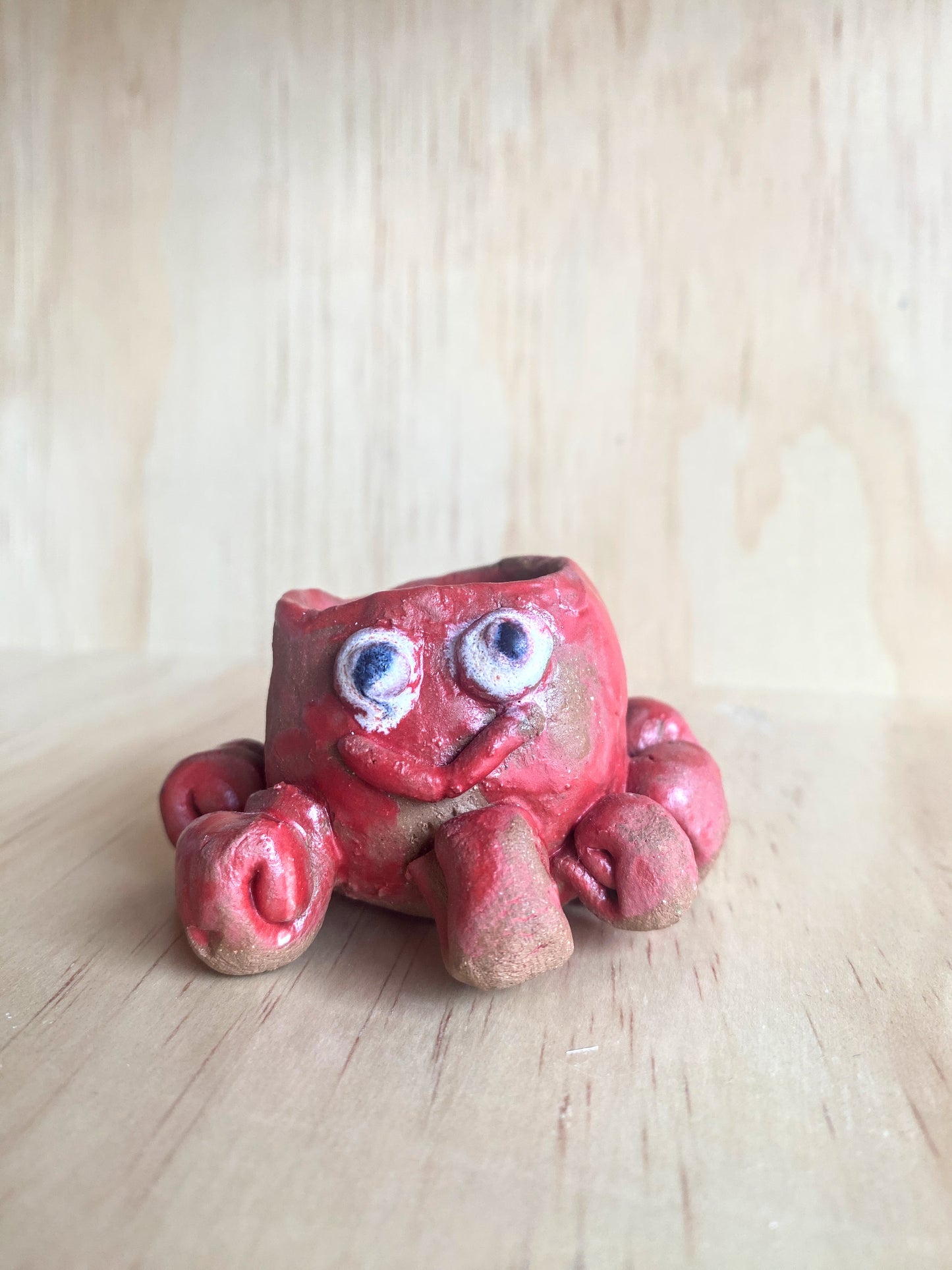 Handmade Ceramic Octopus by 10-Year-Old Ava - Made in Stoughton!
