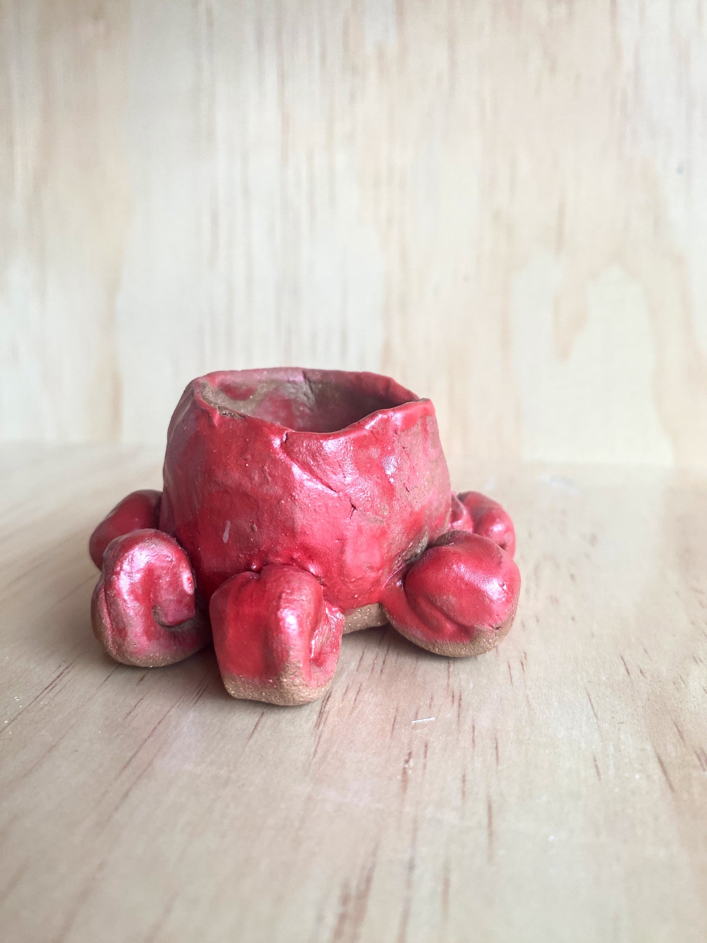Handmade Ceramic Octopus by 10-Year-Old Ava - Made in Stoughton!