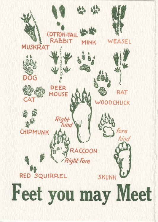 Feet You May Meet 5"x7" Letterpress Art Print or Greeting Card