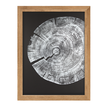 "White Pine" 22"x28" Woodcut Relief Tree Print - White Ink on Black Paper