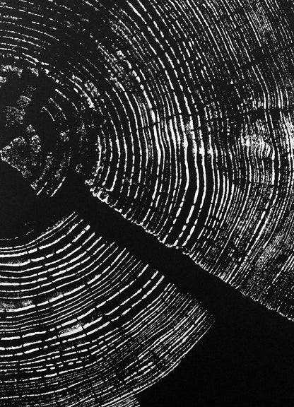 "Pine 121” 22"x28" Woodcut Relief Tree Print - White Ink on Black Paper