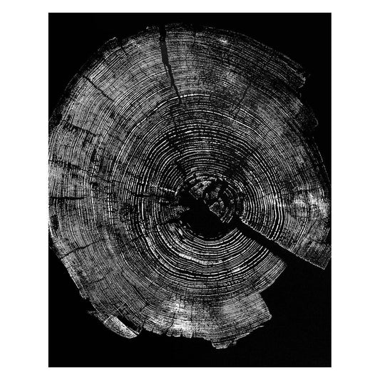 "Pine 121” 22"x28" Woodcut Relief Tree Print - White Ink on Black Paper