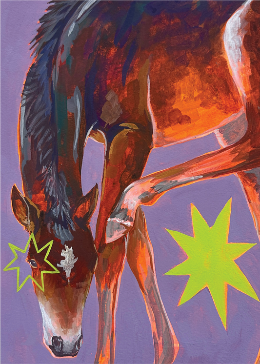Bay Foal with Starbursts on Lavender - 8"x10 Art Print