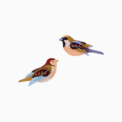 Pair of Sparrows DIY 3D Wall Art