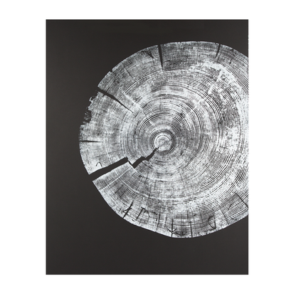 "White Pine" 22"x28" Woodcut Relief Tree Print - White Ink on Black Paper