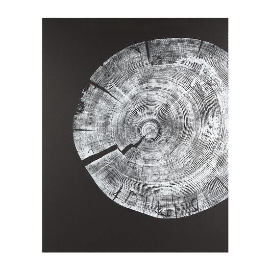 "White Pine" 22"x28" Woodcut Relief Tree Print - White Ink on Black Paper