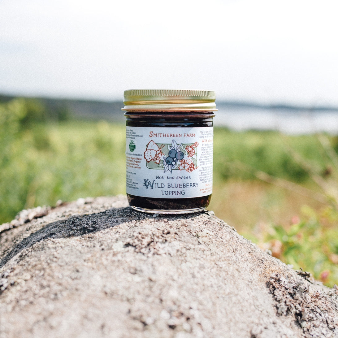 Not-Too-Sweet Organic Wild Blueberry Topping