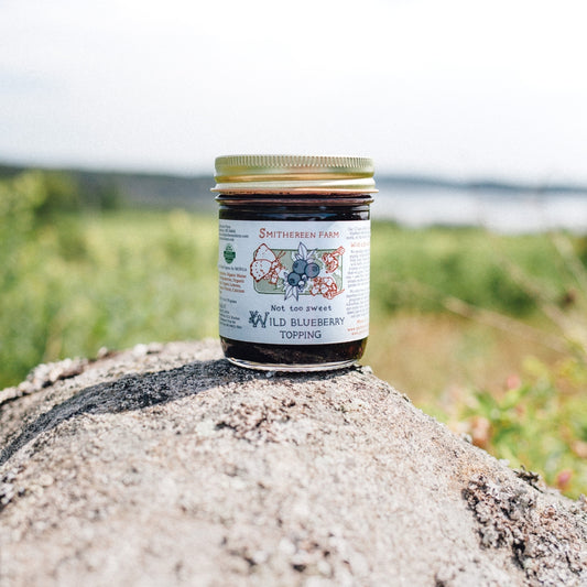 Not-Too-Sweet Organic Wild Blueberry Topping