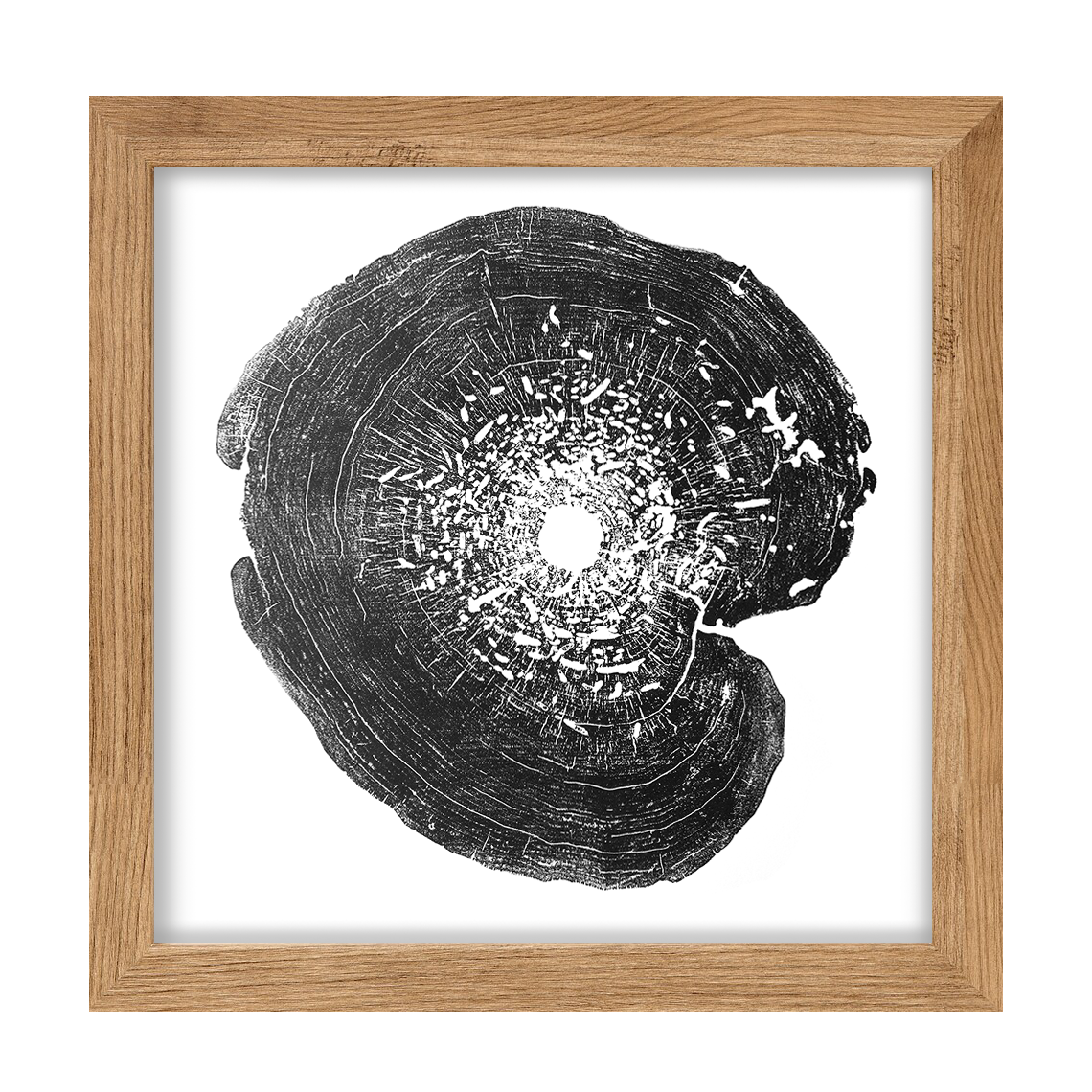 "Box Elder" 22"x28" Tree Print - Black Ink on White Paper