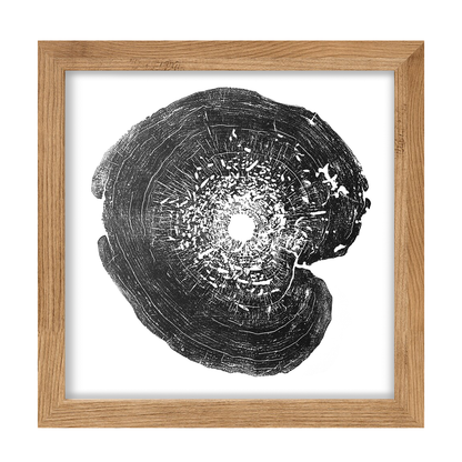 "Box Elder" 22"x28" Tree Print - Black Ink on White Paper
