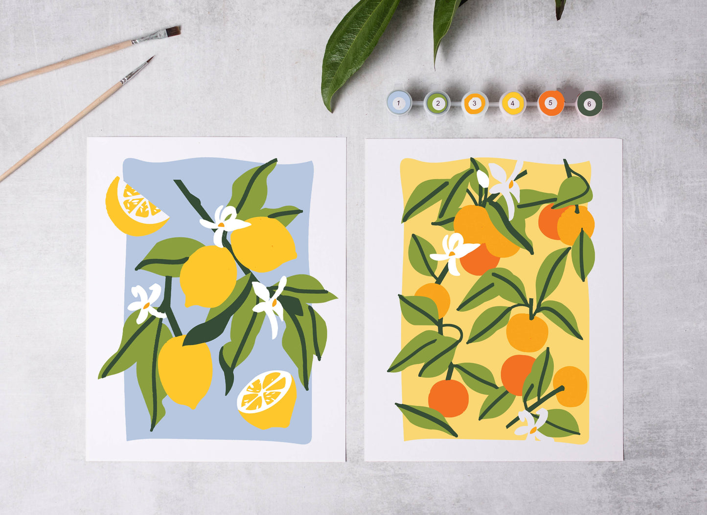 Sunny Citrus Paint-By-Numbers Kit (2 Paintings)