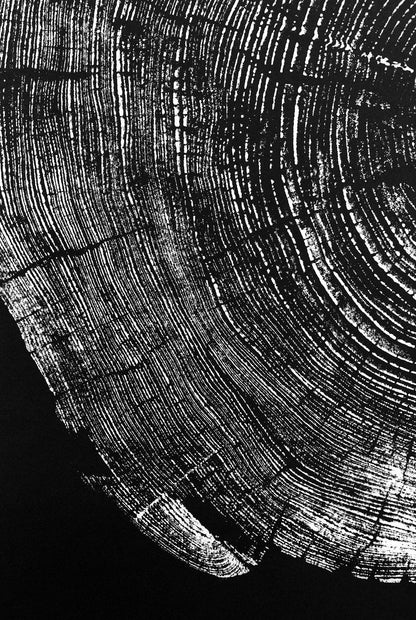 "Pine 121” 22"x28" Woodcut Relief Tree Print - White Ink on Black Paper