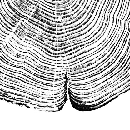 "Cedar 44" 16"x20" Tree Print - Black Ink on White Paper