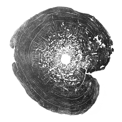 "Box Elder" 22"x28" Tree Print - Black Ink on White Paper