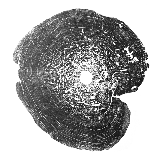 "Box Elder" 22"x28" Tree Print - Black Ink on White Paper