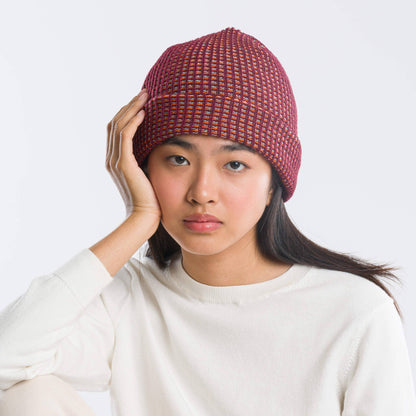 Multicolor Grid Unisex Knit Beanie