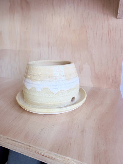 Hand-thrown Buttery Planters by Beth - Made in Stoughton!