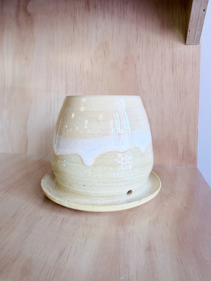 Hand-thrown Buttery Planters by Beth - Made in Stoughton!