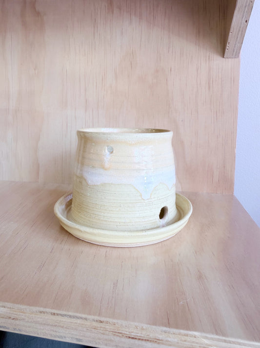 Hand-thrown Buttery Yellow Planters by Beth - Made in Stoughton!