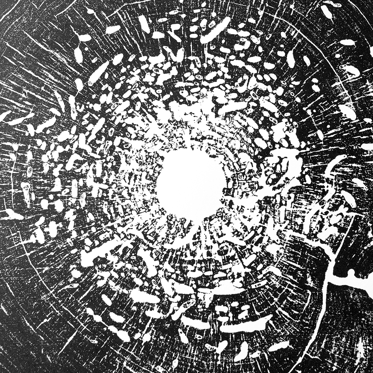 "Box Elder" 22"x28" Tree Print - Black Ink on White Paper