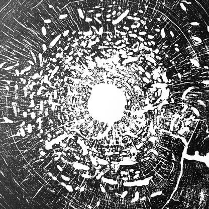 "Box Elder" 22"x28" Tree Print - Black Ink on White Paper