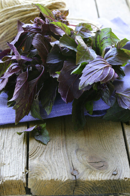 "Purple Haze" Dark Opal Basil Seed Packets