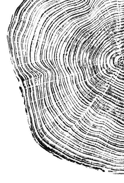 "Cedar 44" 16"x20" Tree Print - Black Ink on White Paper