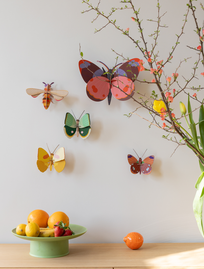 Honey Bee DIY 3D Wall Art Kit