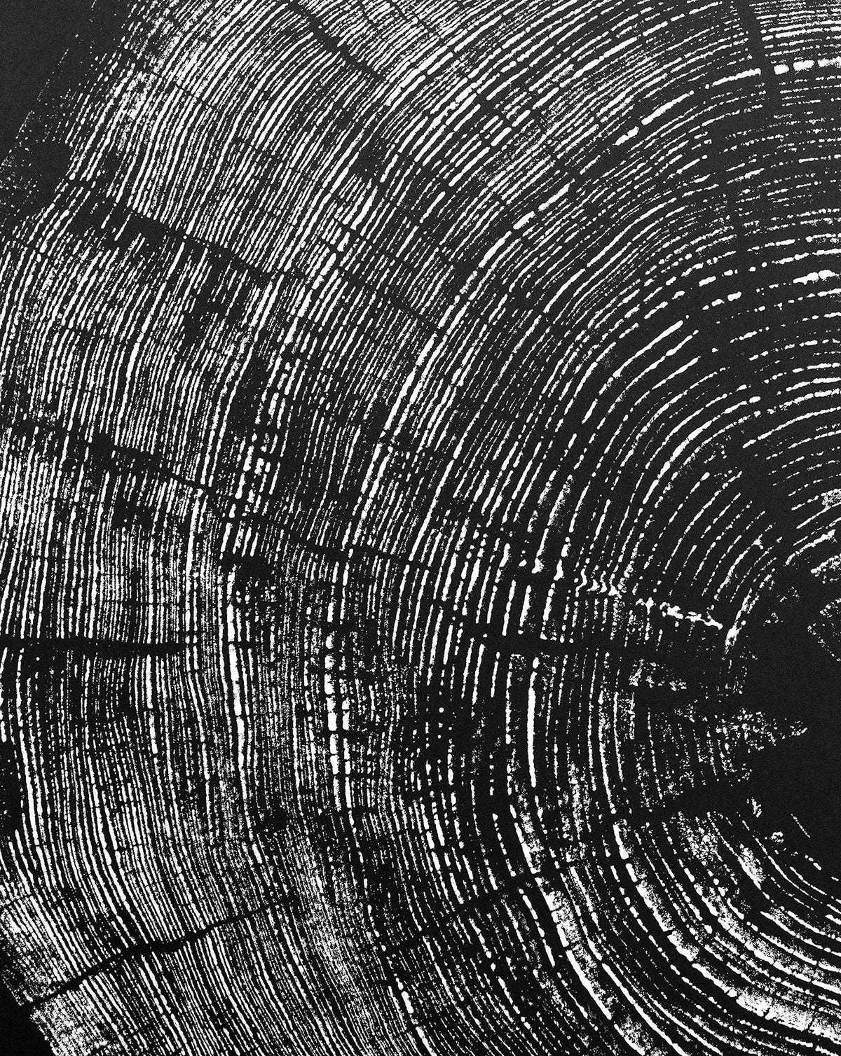"Pine 121” 22"x28" Woodcut Relief Tree Print - White Ink on Black Paper