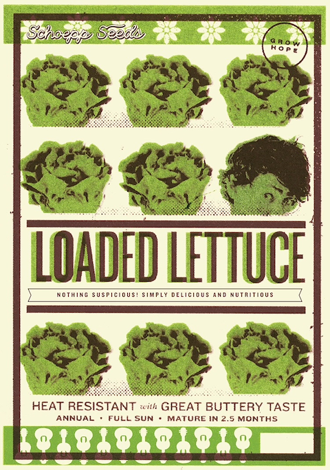 "Loaded Lettuce" Black Seeded Simpson Lettuce Seed Packets