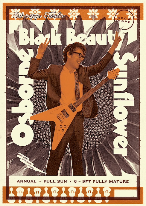 "Black Beauty" Sunflower Seed Packets