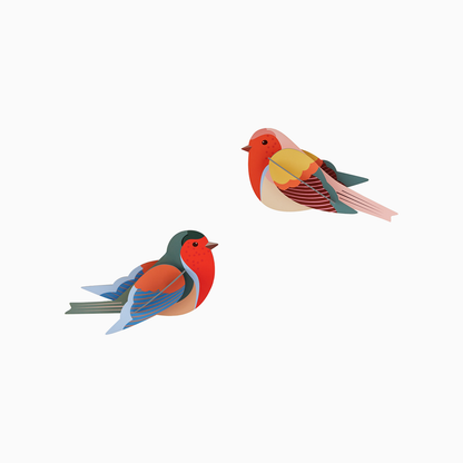 Pair of Robins DIY 3D Wall Art Kit