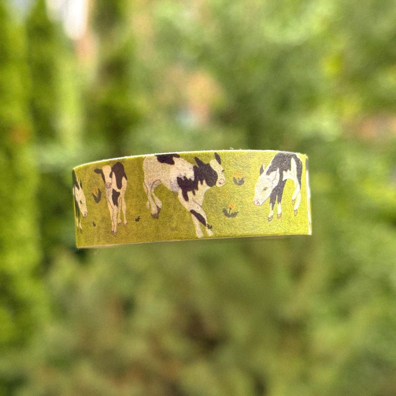 Washi Tape by Stoughton-Raised Artist Chandler Hougan