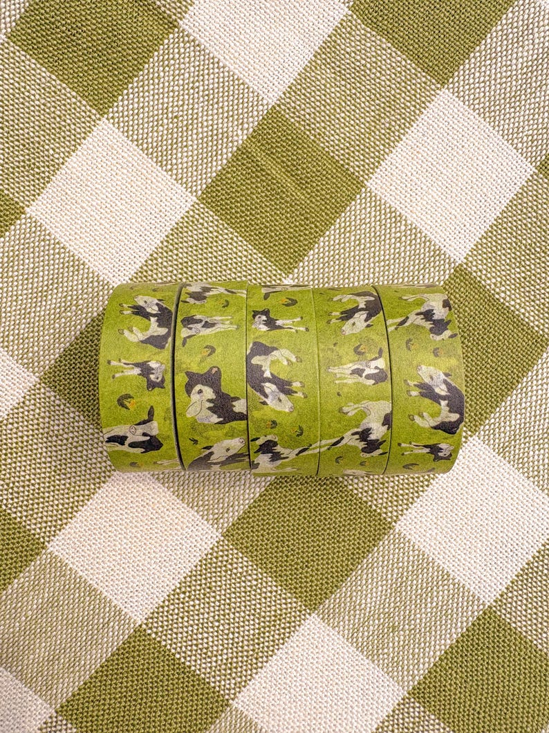 Washi Tape by Stoughton-Raised Artist Chandler Hougan