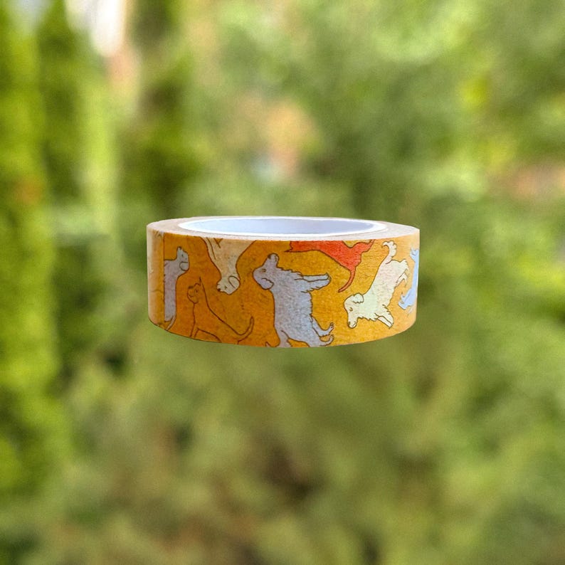 Washi Tape by Stoughton-Raised Artist Chandler Hougan