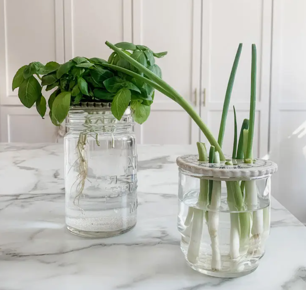 Large Ceramic Flower Frog for Mason Jar Bouquet or Plant Propogation